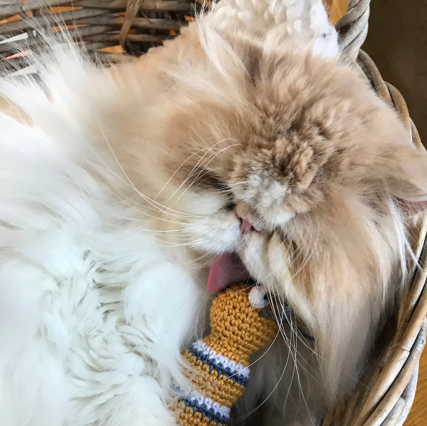 Cat Toy Crochet Kit. Everything you need to make your cat a 'Caterpillar Claude' Catnip Toy in luxury Cotton Yarn!