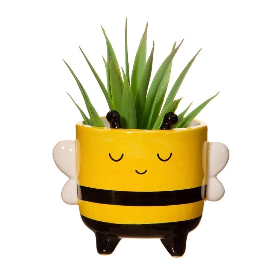 Bee-Loved Bee Crochet Kit & Planter Set. Including luxury British yarns, step by step Instructions, and Bee-utiful Sass and Belle Planter.