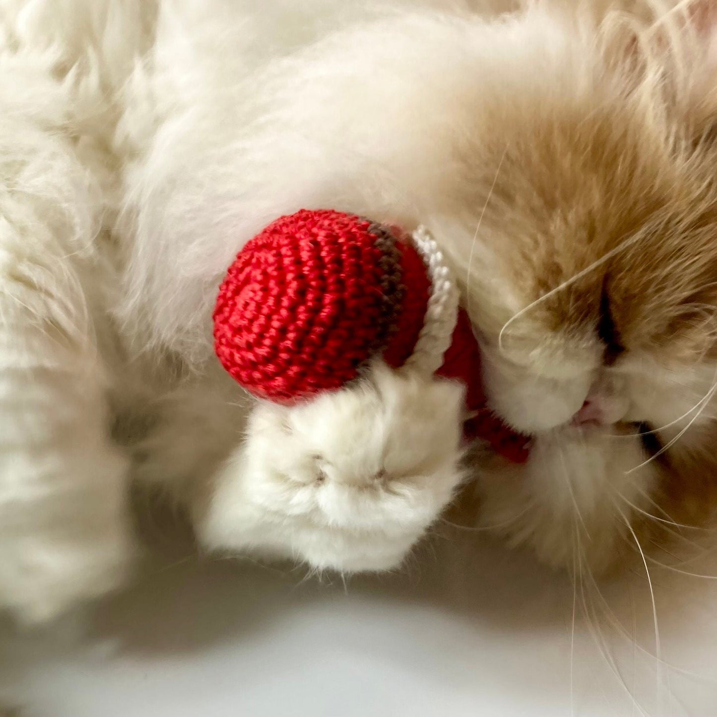 Christmas Cat Toy Crochet Kit. Everything you need to make your cat a Festive Gonk Toy in luxury Cotton Yarn with a Bell & Organic Catnip.