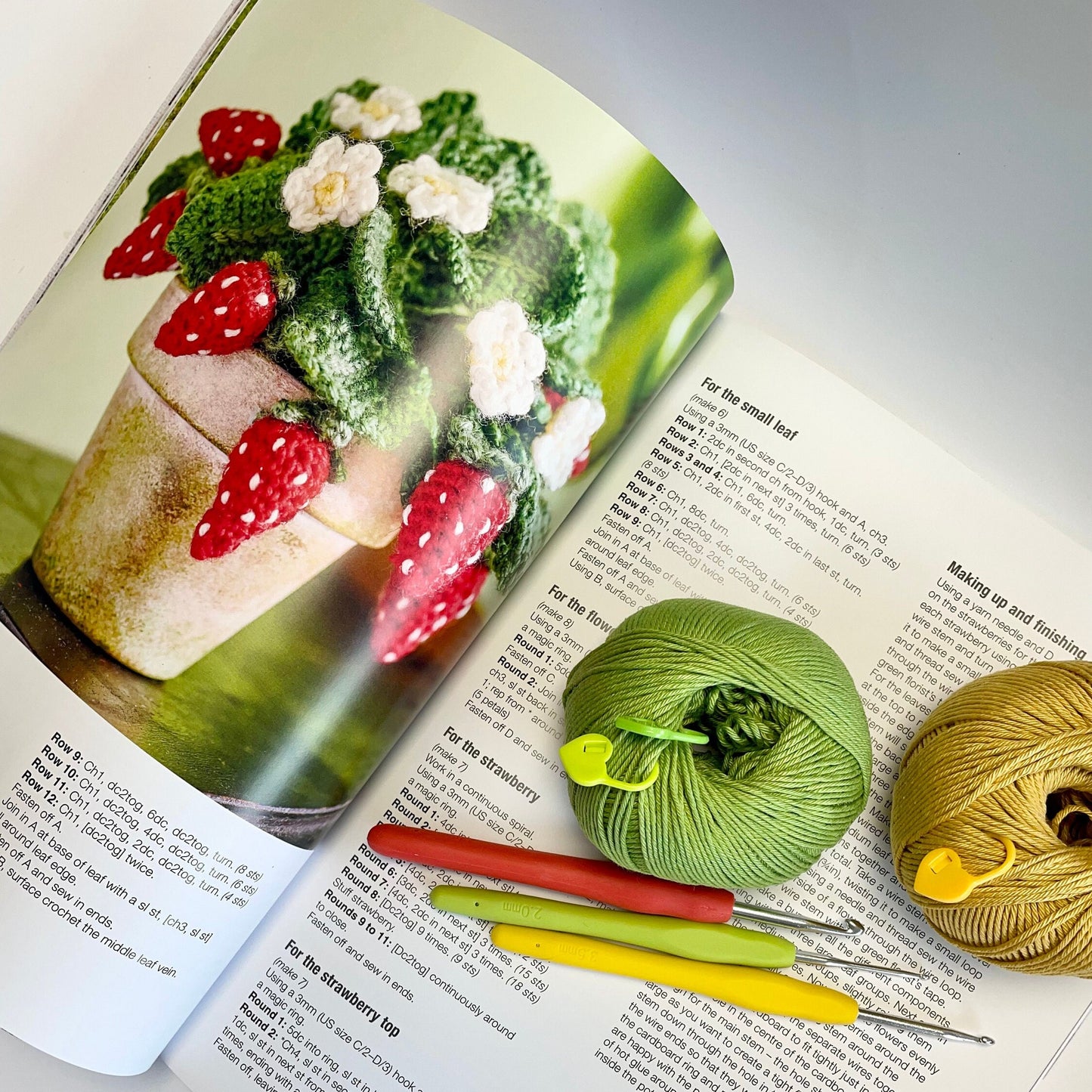 Flowers & Plants Crochet book.