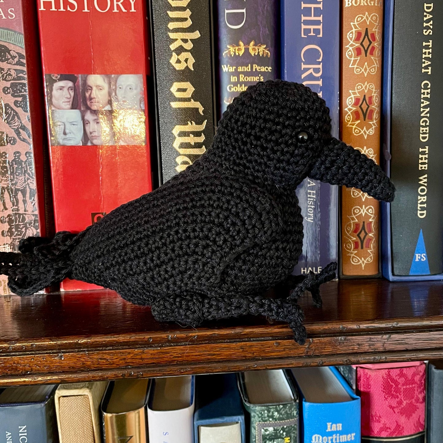 Crow Crochet Kit.