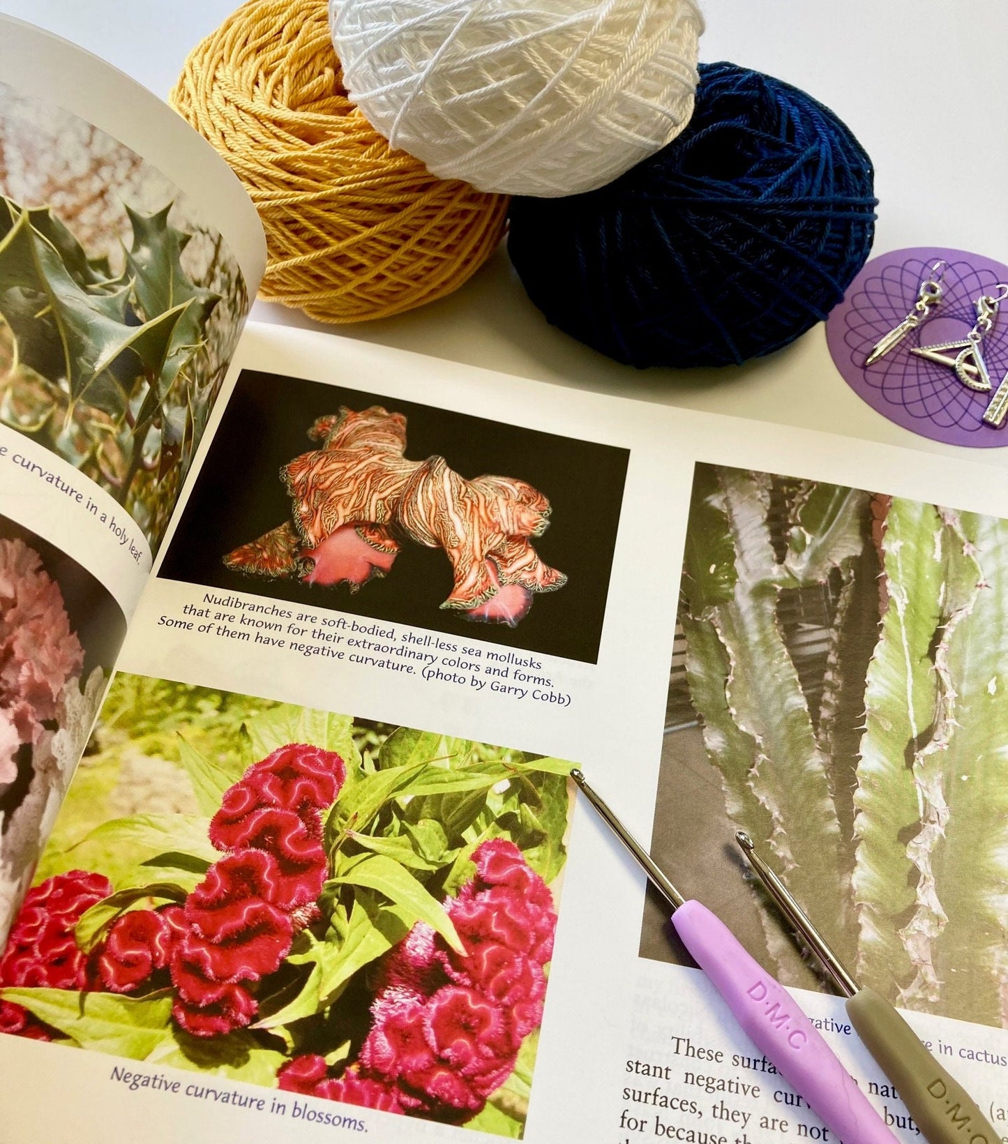 Science Crochet Gift. Kit includes Hyperbolic Planes Crochet Book, Luxury British Yarn, Crochet Hooks & 3 Super Cute Sciencey Stitch Markers