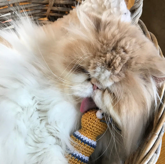 Caterpillar Claude Cat Toy Crochet Kit