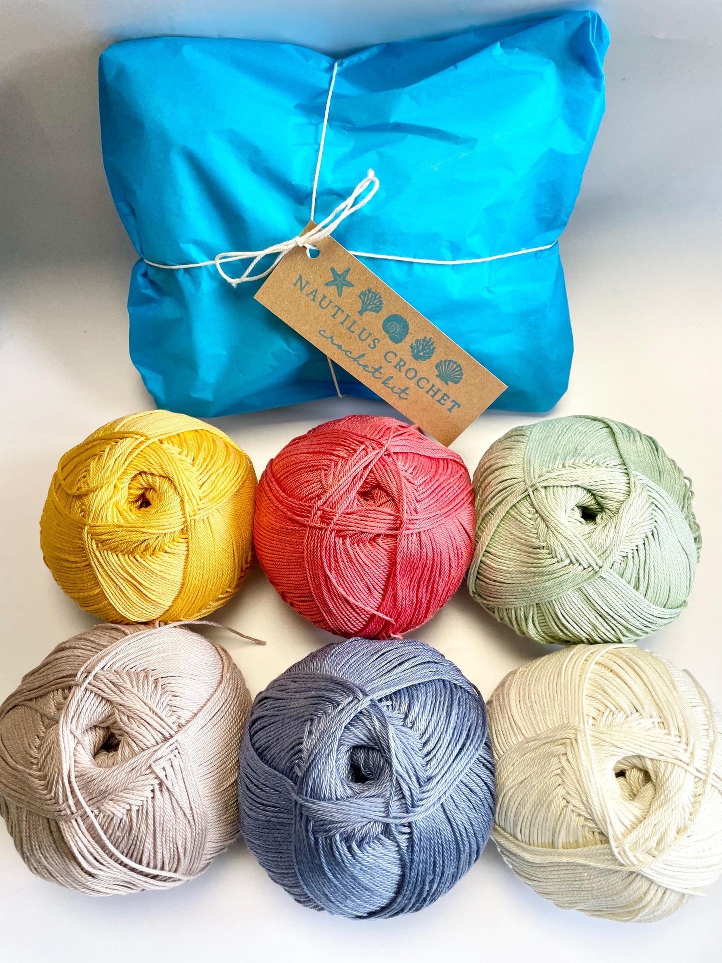 Nautilus Crochet Learn to Crochet Kit.