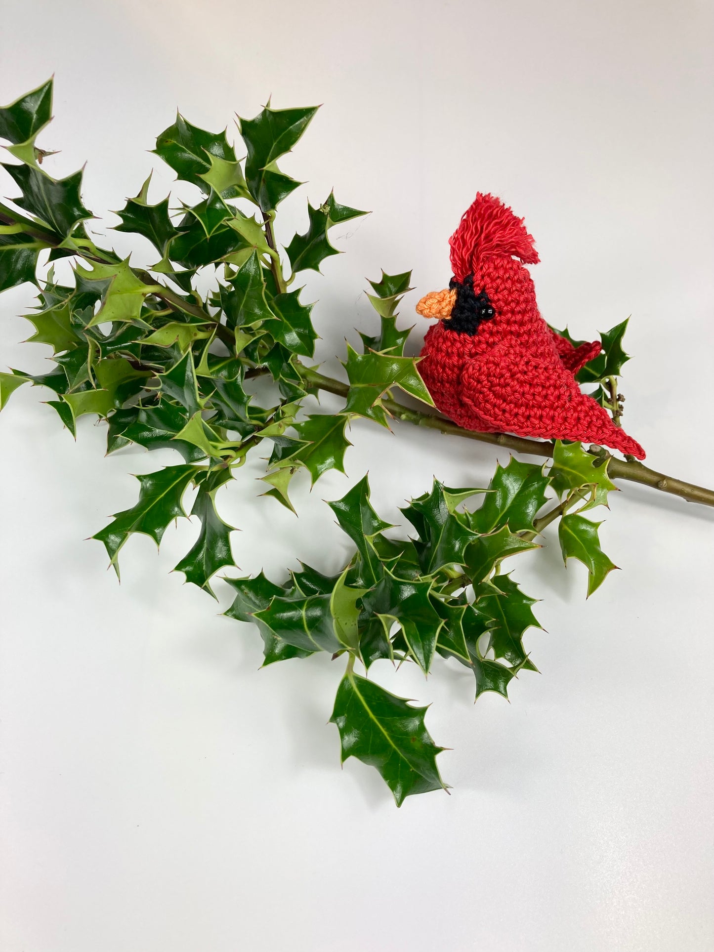 Cardinal Crochet Pattern. A Digital Download Pattern with step by step instructions & photo aids.