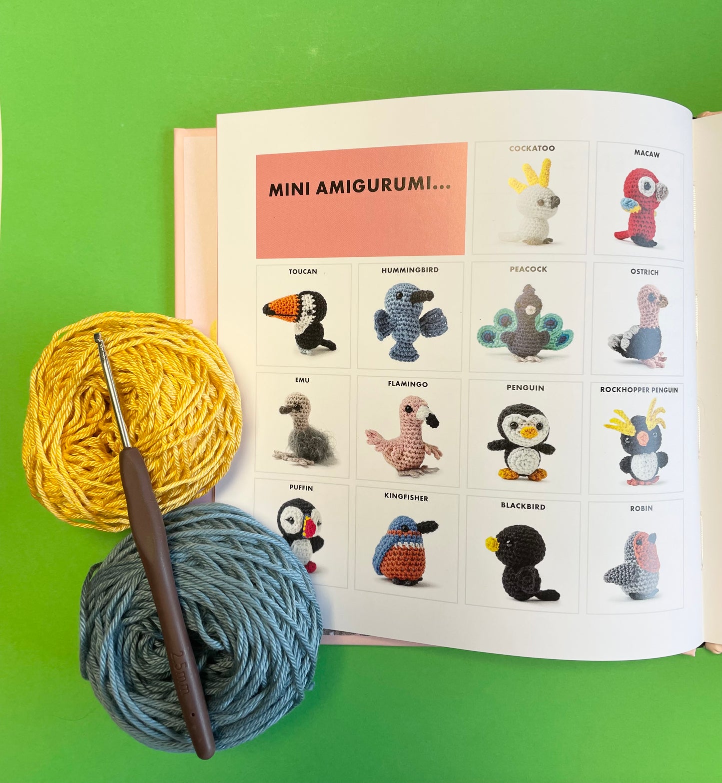 Crocheted Birds Kit