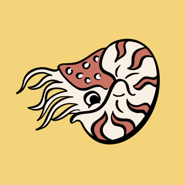 Nautilus Crochet