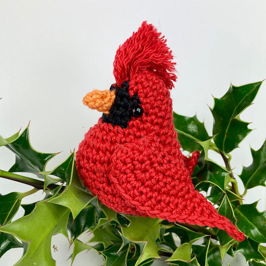 Cardinal Crochet Kit.